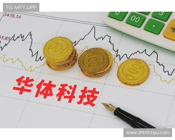 华体会登录入口手机版：华体会登录入口手机版的用户体验优化措施分析